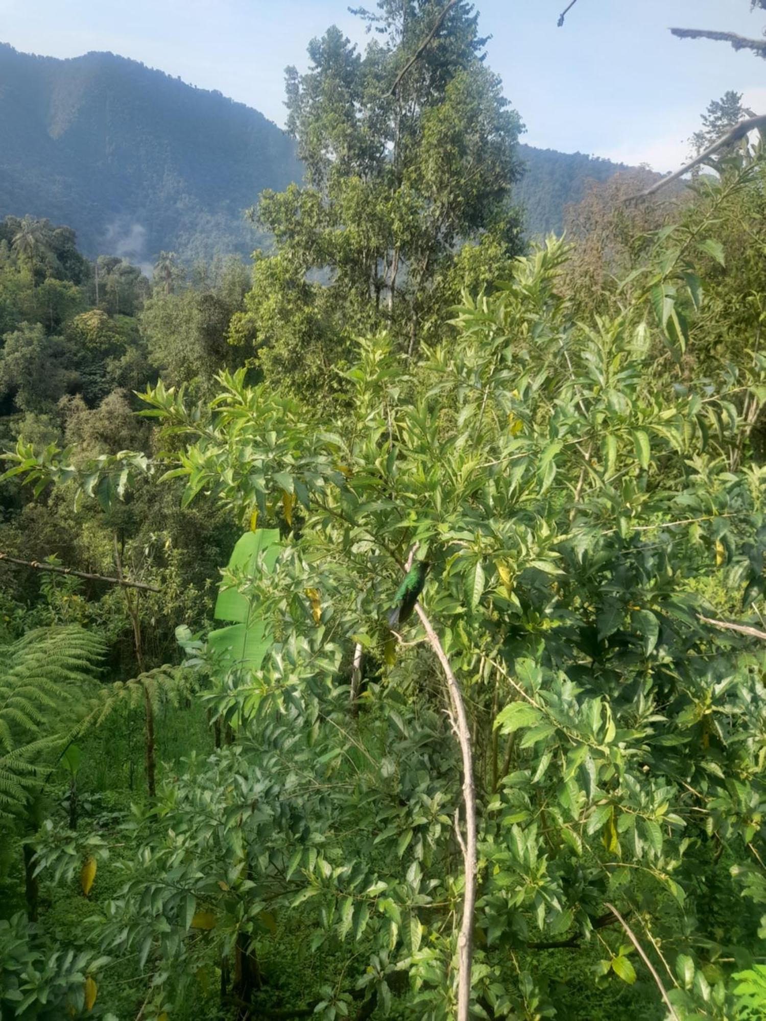 מינדו Sendero De Las Aves מראה חיצוני תמונה